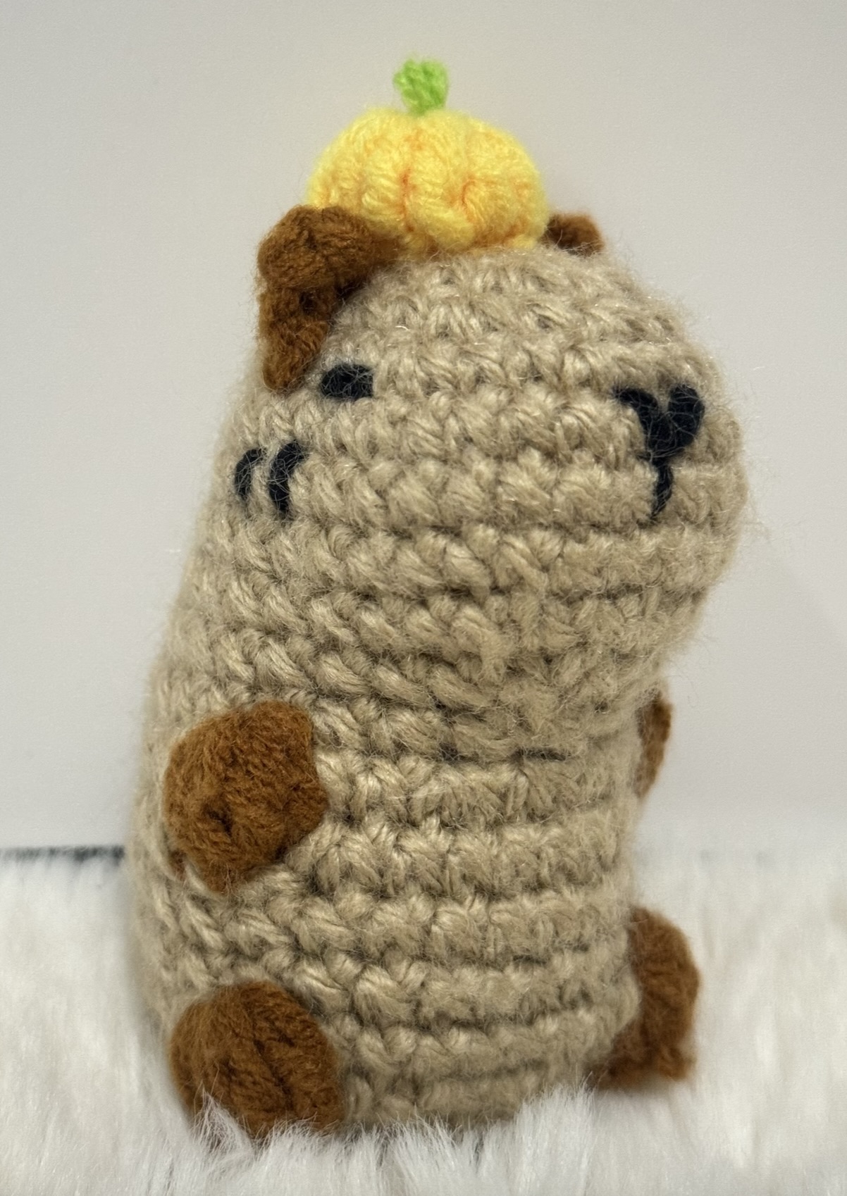 capybara